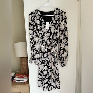 Ann Taylor Dress